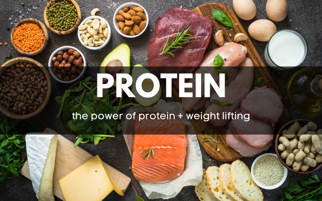 The Power Duo: Weight Lifting and Protein for Women’s Wellness