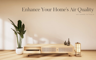 The Importance of Clean Air in Your Home: Tips for Reducing Indoor Toxins