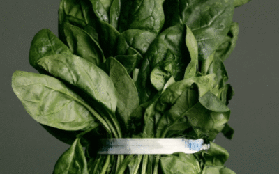 Why you need Magnesium in your Diet